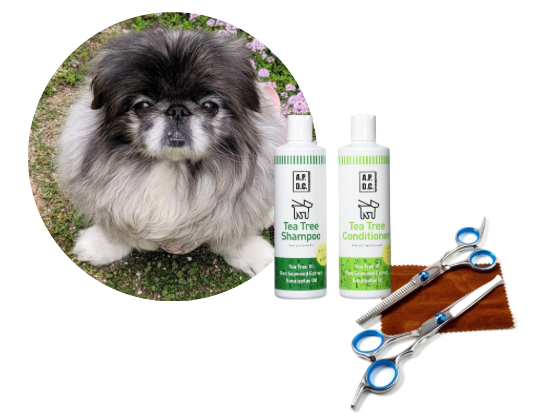 ペキニーズ／カットコース（8,600円(税込)〜）