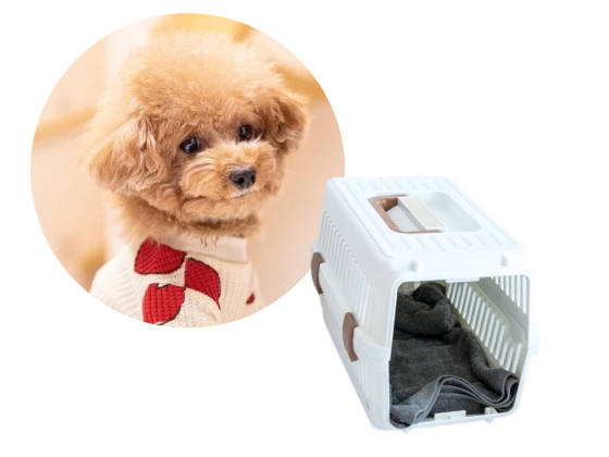 小型犬／一時預り（400円(税込)〜／1H）