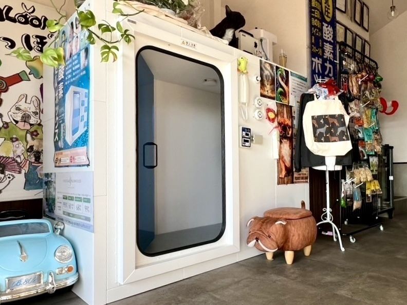 高気圧酸素ルーム（2,200円(税込)／1人）