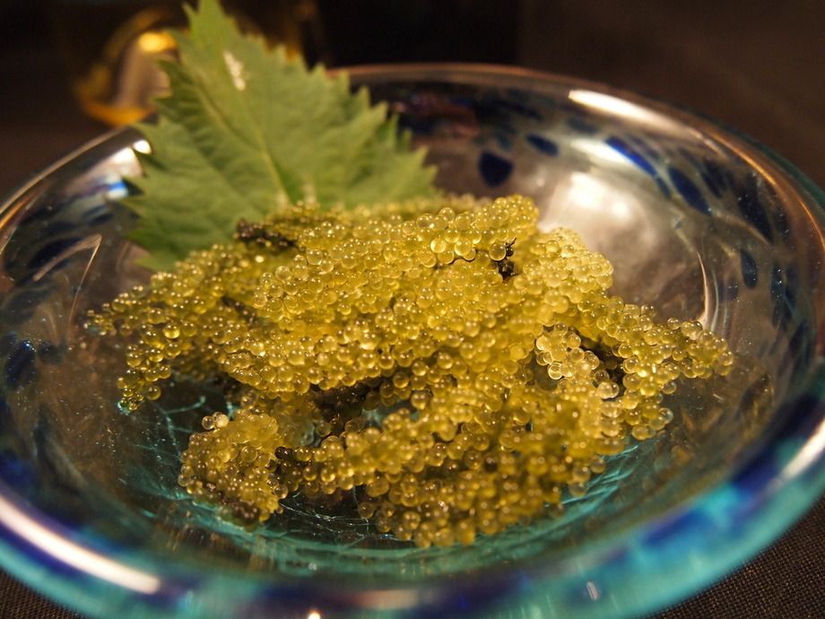 【売れ筋】沖縄直送！プチプチ海ぶどう