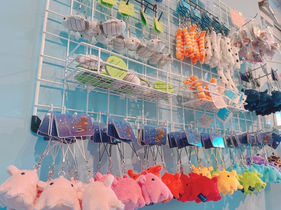 深海グッズ　各種