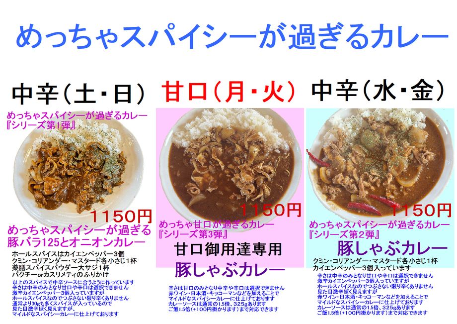 めっちゃスパイシーが過ぎるカレー