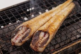 知らなきゃ人生損‼️ 羅臼産 八角丸干し焼き《１尾》