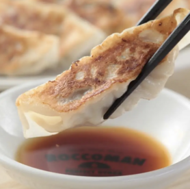 【🉐お得なセット🥟】肉餃子ライス定食