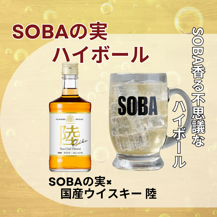 【自家製ハイボール】　　　　　蕎麦の実ハイボール 　　　　　揚げ蕎麦おつまみ付