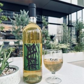 オレンジ：マリア・ボルトロッティ　マモロ・ピニョレット