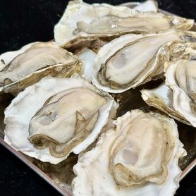 《🉐超お得８個セット🉐》仙鳳趾産‼️ 旬の生牡蠣 ２Ｌ