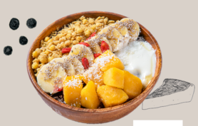 medium sizeマンゴーボウル