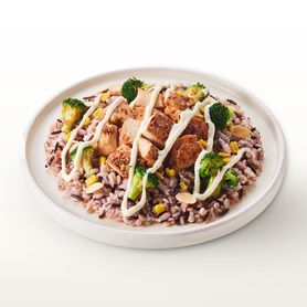 チキンプレート（CHICKEN PLATE）