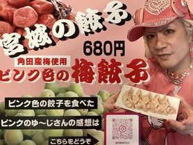 【宮城の餃子】梅餃子　単品・アルコールセット