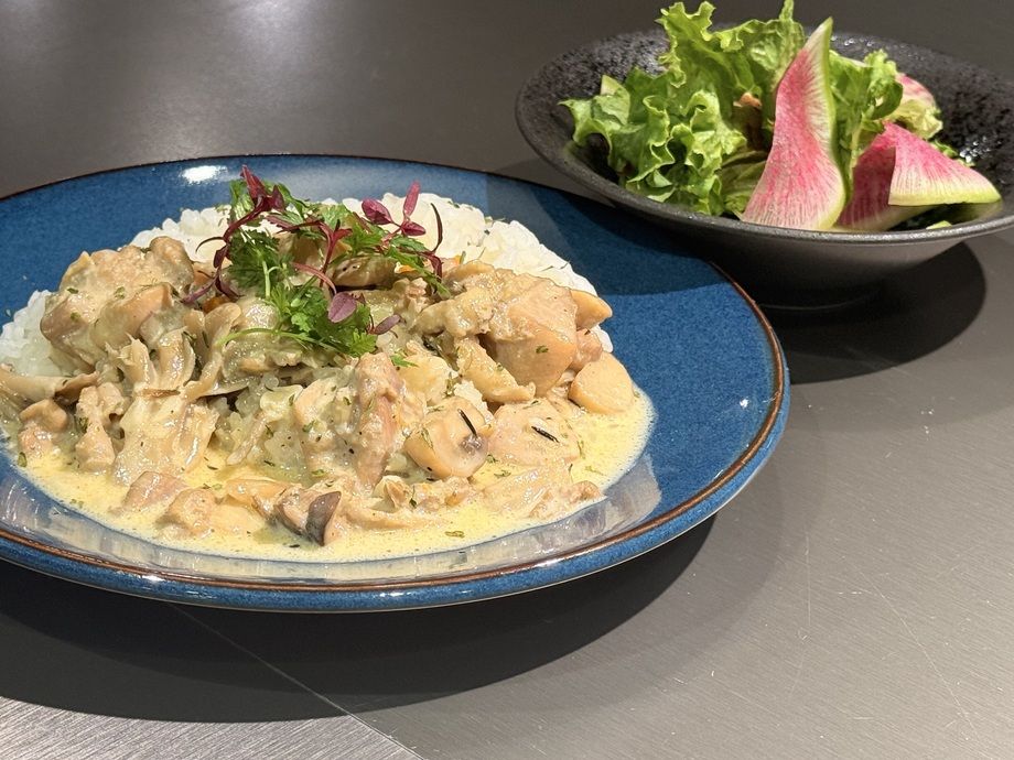 【本日のオススメ】季節メニュー🍄‍🟫🍄‍🟫  チキンフリカッセ🍗【サラダ　ライス付き】