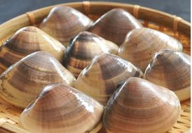 豊洲直送千葉産はまぐり１つ