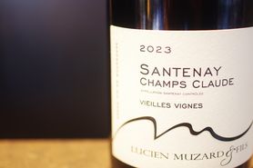 ボトル　赤：ブルゴーニュ・コート・ドール ルージュ・ ヴィエイユ・ヴィーニュ・ピノノワール　750ml（フランス）