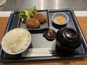 【B】国産若鶏の手作りハンバーグ御膳