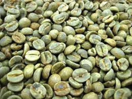 ホットコーヒー　生豆（緑色）から自家焙煎します