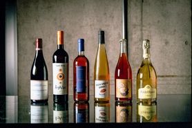 Pairing + All MOMO ペアリング付き　食べログ