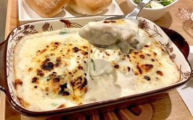 和牛グラトーニ(広島県倉橋産かき)サラダ&ドリンクセット