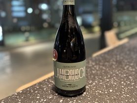 ボトル　スパークリング　赤　ランブルスコ　イタリア　辛口