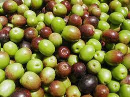 フレッシュオリーブ2種盛り合わせ（580円）