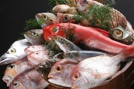 旬魚の塩焼・煮付