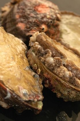 丸ごと活アワビの造り・バター焼き