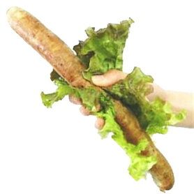 だいたい腕くらいの長さソーセージ
