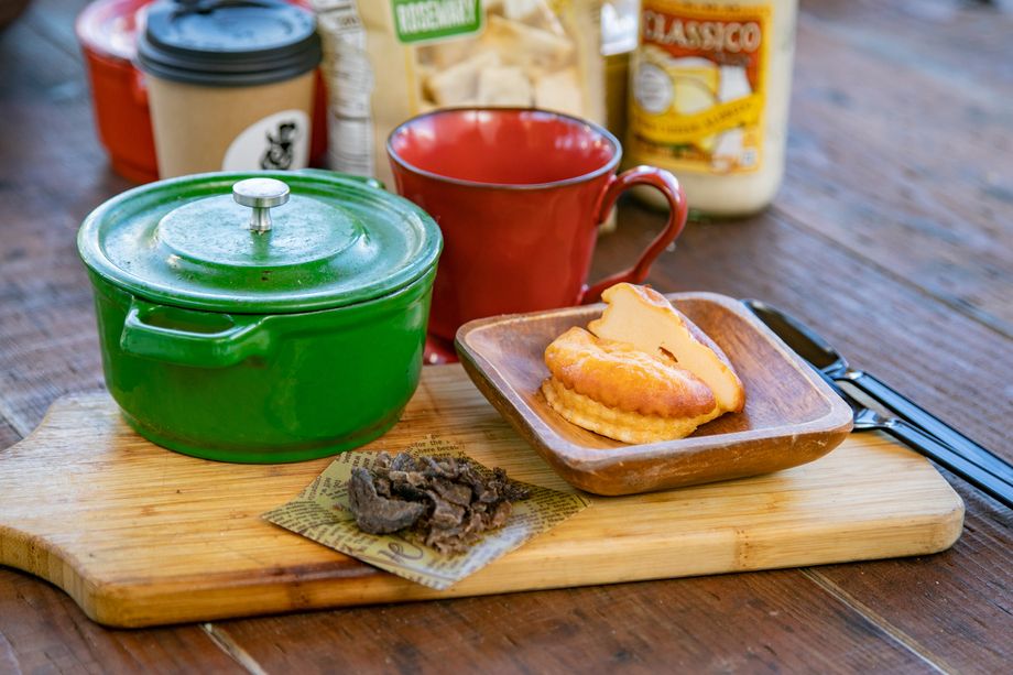 わんちゃんヨーグルトチーズケーキ