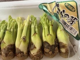 春のフリット２品盛り