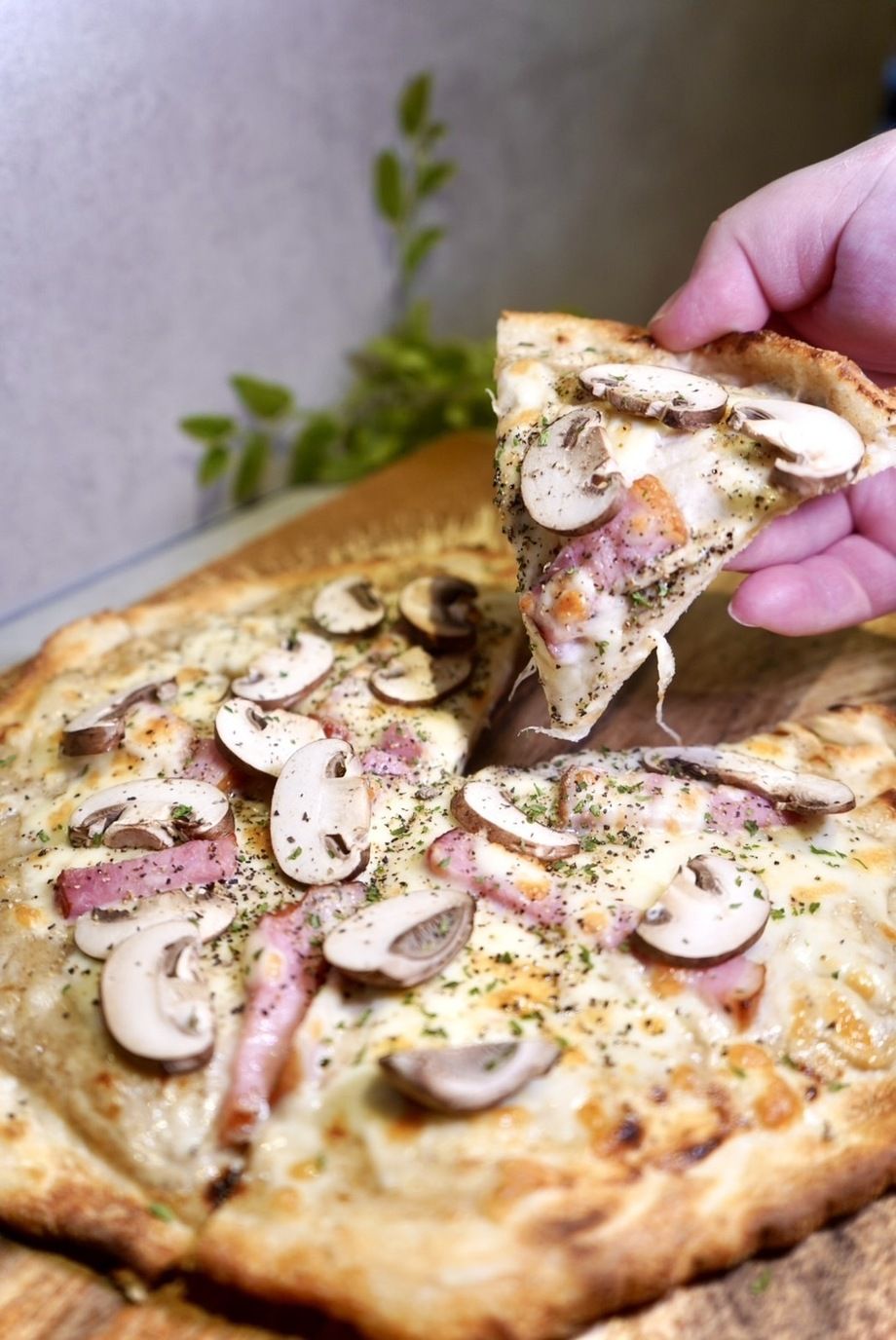 🍄🍕 伊太そば名物！濃厚豚骨ポルチーニピッツァ 🐖✨