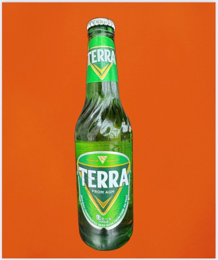 韓国No.1ビール　TERRA