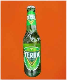 韓国No.1ビール　TERRA
