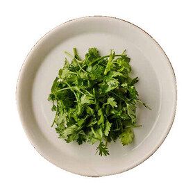 パクチー Coriander