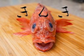 アクアパッツァ〈キンキ〉