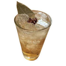 自家製スパイスコーラハイ  SPICE CORA Sour
