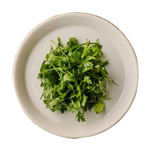 パクチー Coriander