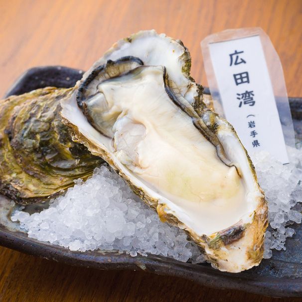 ■広田湾(岩手県)