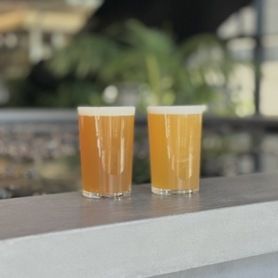 【選べる！】2種飲み比べセット（SKY PALE ALE ＋ お好きな1杯）