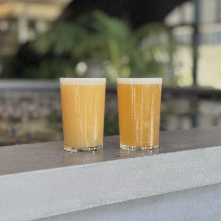 【選べる！】2種飲み比べセット（THUNDER IPA ＋ お好きな1杯）