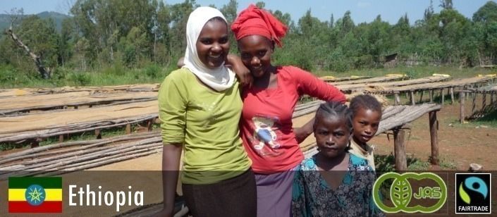 エチオピア・イルガチェフェ JAS/FLO 