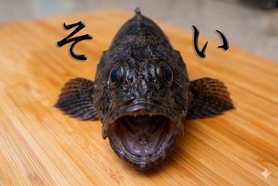 アクアパッツァ〈クロソイ〉