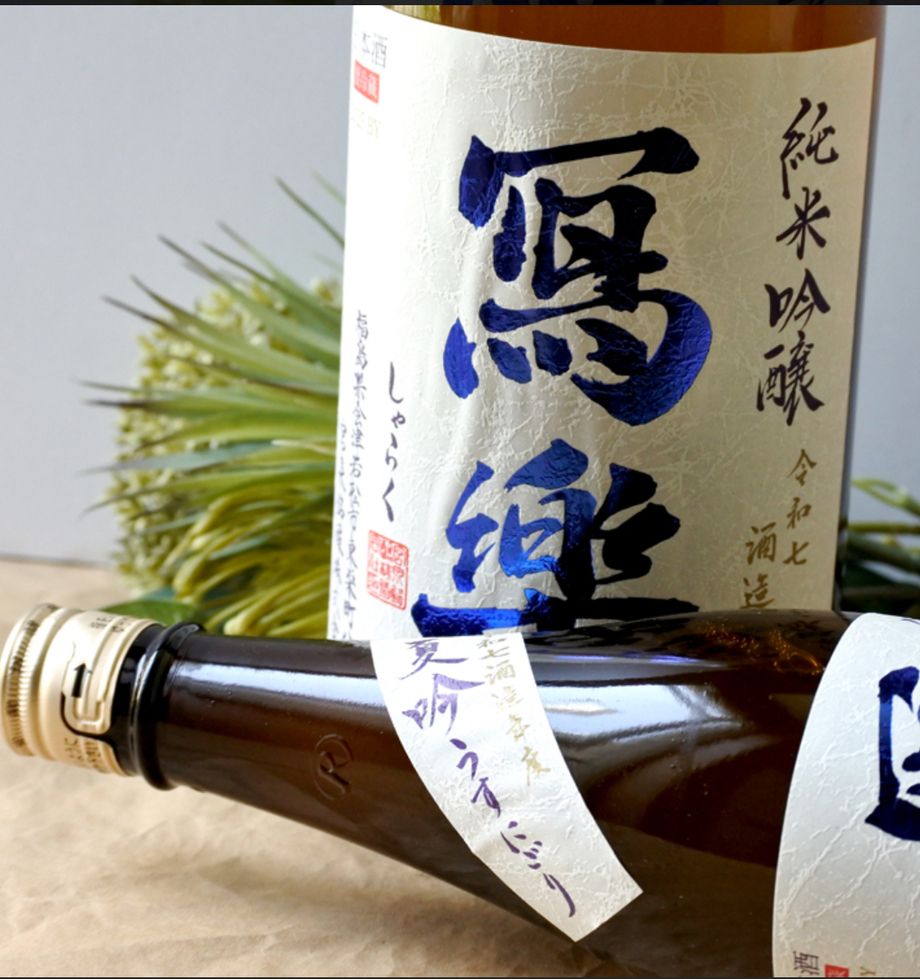 【限定酒】冩樂　純米吟醸　夏吟うすにごり