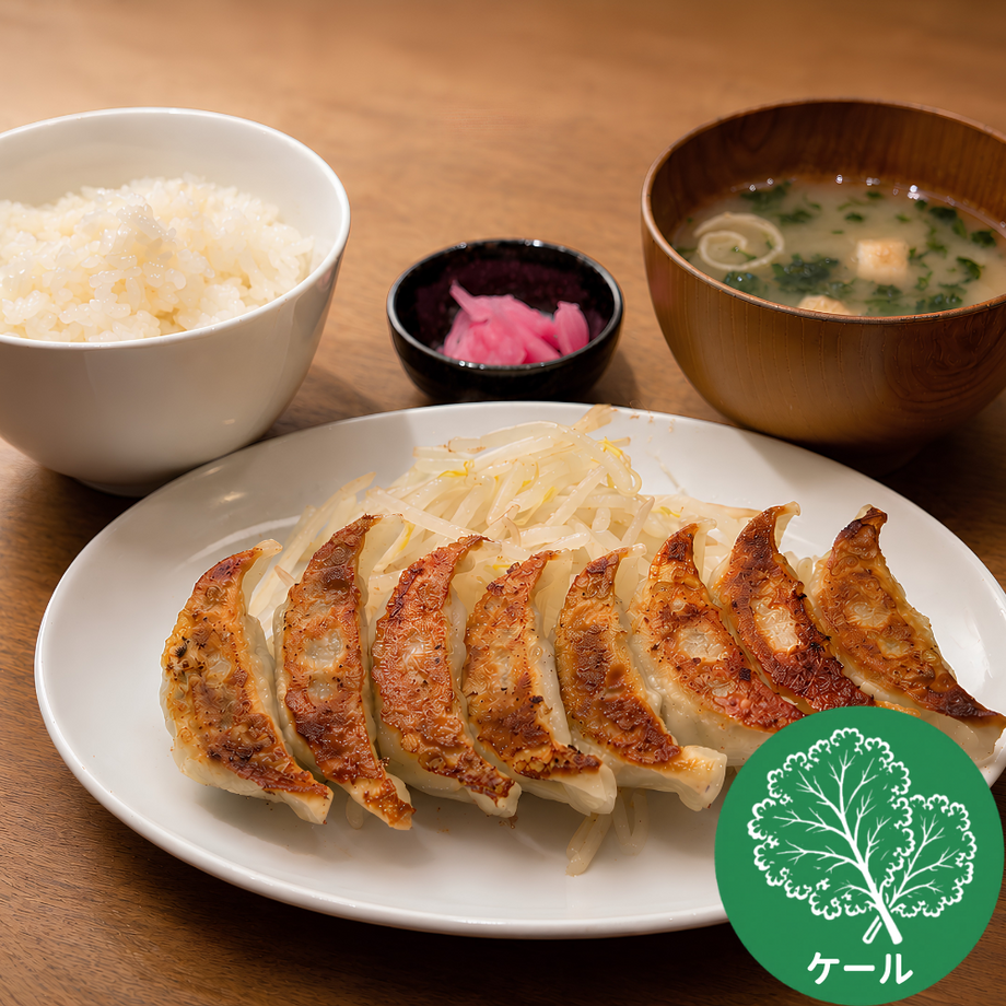 ケール餃子定食