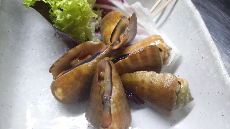 チャンバラ貝煮付け