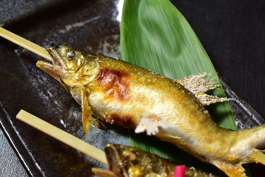 天然鮎　郡上　和良川（時価）