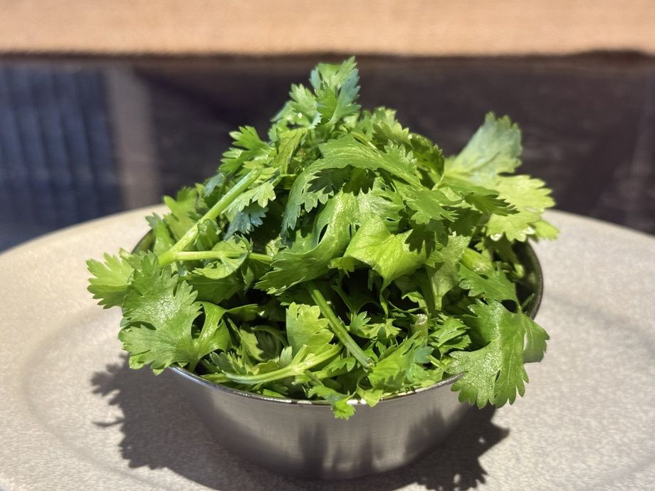 Extra Coriander エクストラパクチー