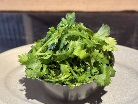 Extra Coriander エクストラパクチー