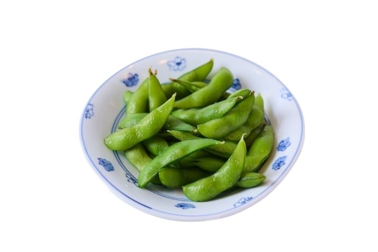 フード各種