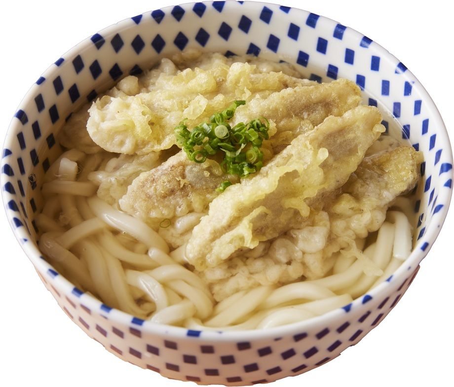 博多うどん ごぼう天うどん
