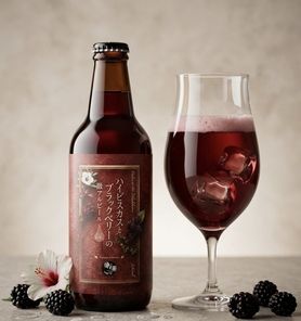 【✨️伊太バルエリアのみ🍻】 ✨数量限定クラフトビール✨ハイビスカスとブラックベリーの微アルビール半額