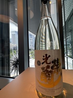 光栄菊　sunburst